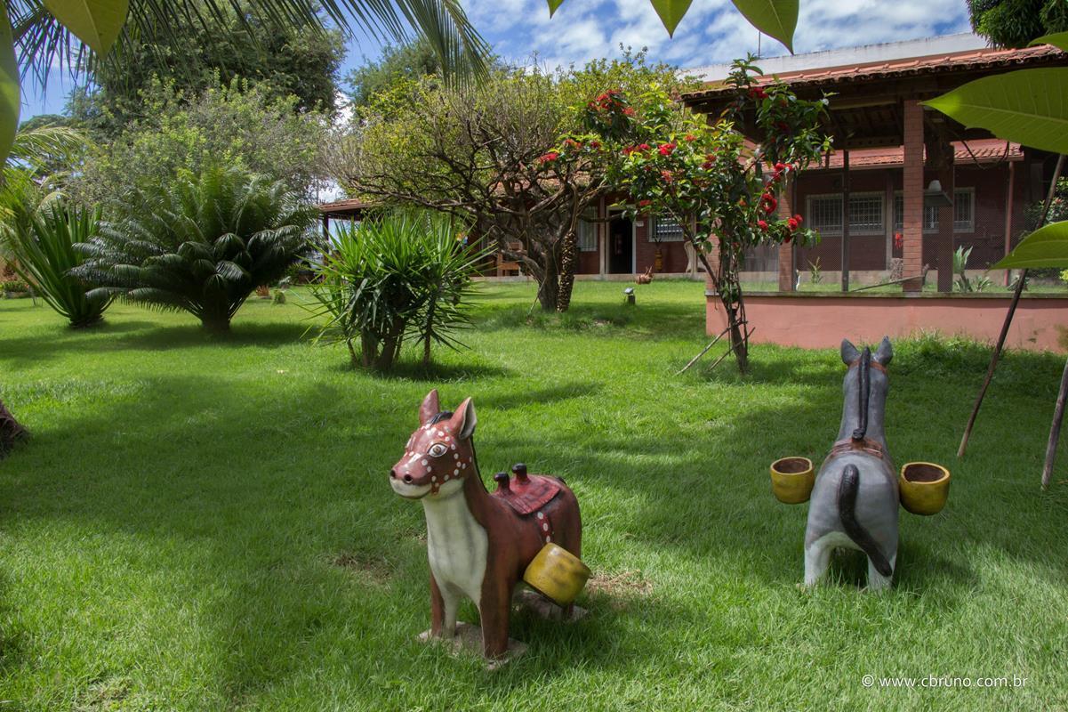 Hotel Pousada Sertao Veredas Buritizeiro Exterior photo